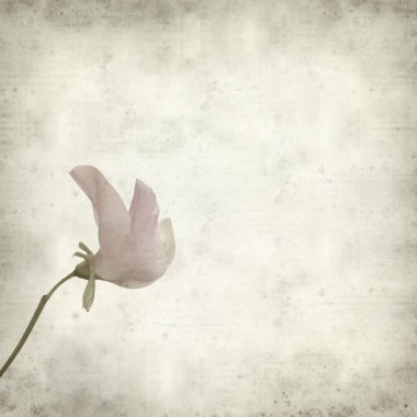 desenli eski kağıt arkaplan  