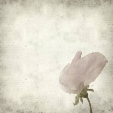 desenli eski kağıt arkaplan  