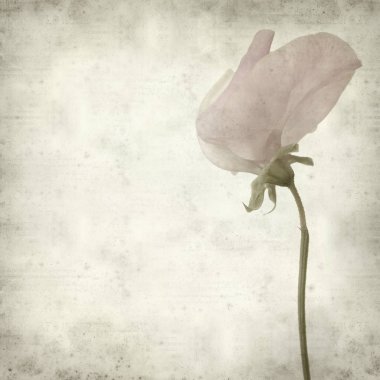 desenli eski kağıt arkaplan  