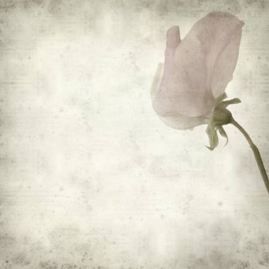 desenli eski kağıt arkaplan  