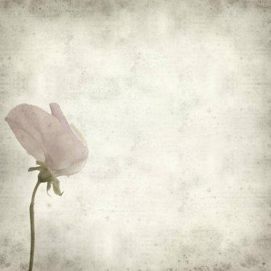 desenli eski kağıt arkaplan  