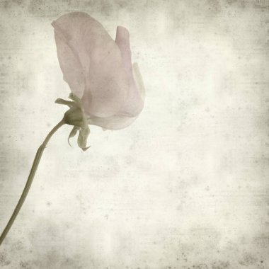 desenli eski kağıt arkaplan  