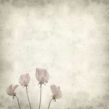 desenli eski kağıt arkaplan  