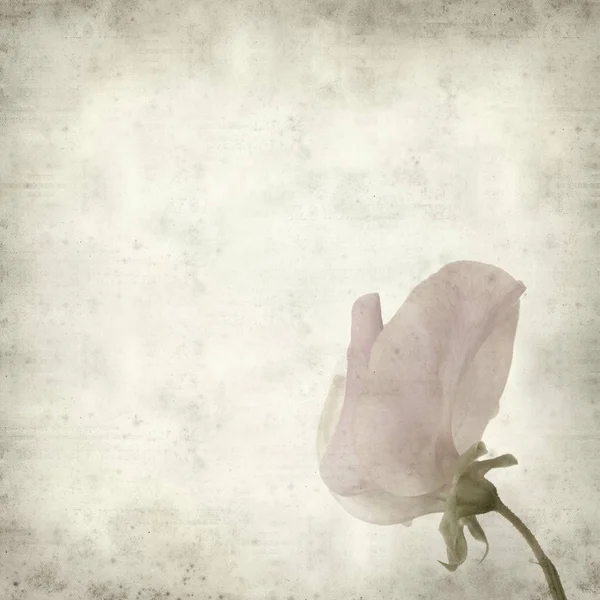 desenli eski kağıt arkaplan  