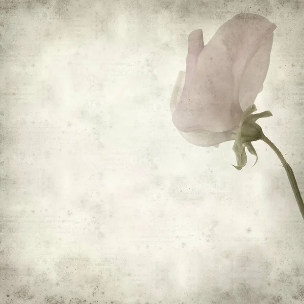 desenli eski kağıt arkaplan  