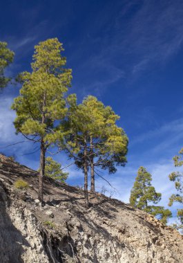 Merkez Gran Canaria, doğa rezerv Inagua