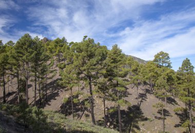 Merkez Gran Canaria, doğa rezerv Inagua