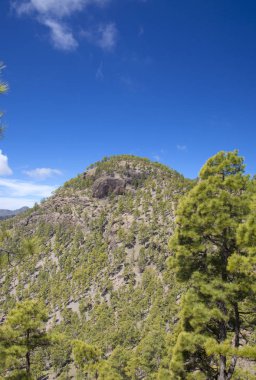 Merkez Gran Canaria, doğa rezerv Inagua