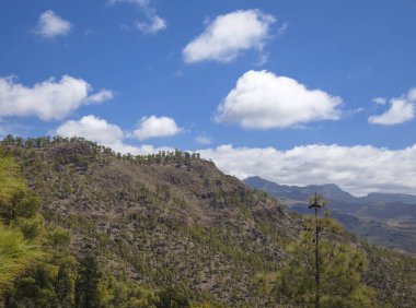 Merkez Gran Canaria, doğa rezerv Inagua