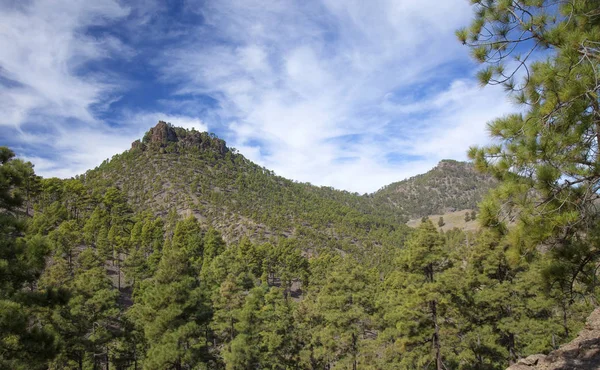 Central Gran Canaria, Reserva Natural Inagua —  Fotos de Stock