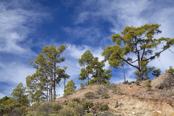 Central Gran Canaria, Reserva Natural Inagua — Foto de Stock