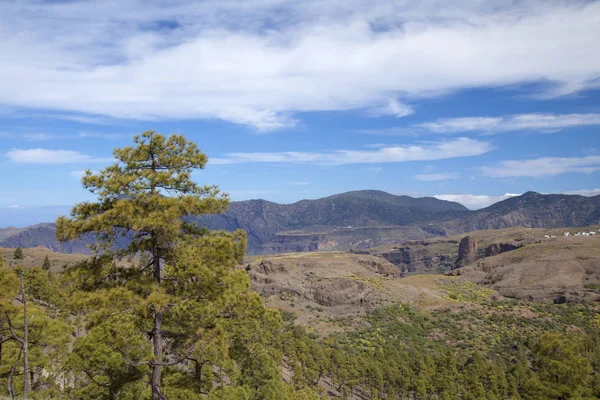 Gran Canaria, Naturreservat inagua — Stockfoto