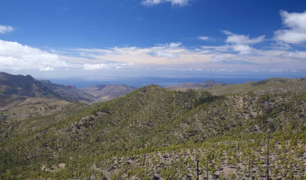 Gran Canaria, Naturreservat inagua — Stockfoto