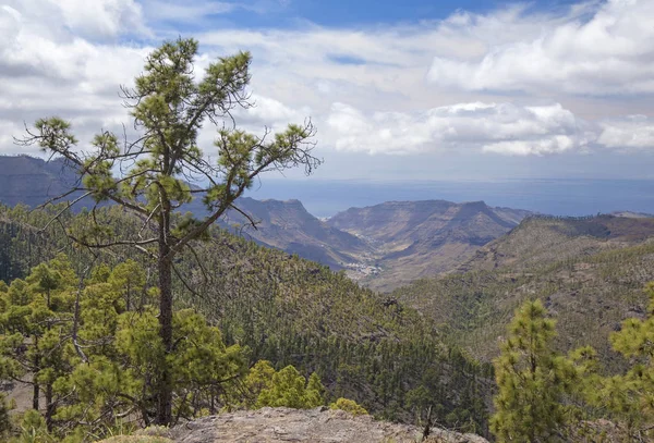 Centrum Gran Canaria, Nature Reserve Inagua — Zdjęcie stockowe