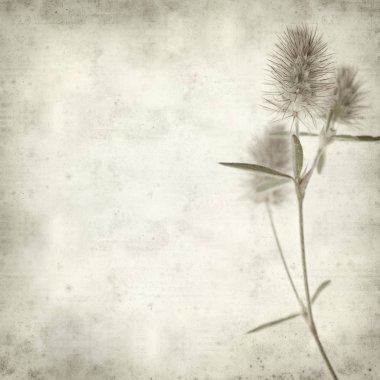 desenli eski kağıt arkaplan  