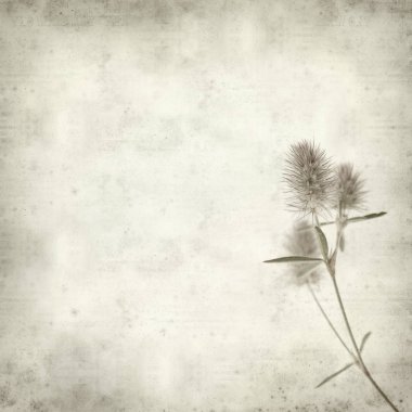 desenli eski kağıt arkaplan  