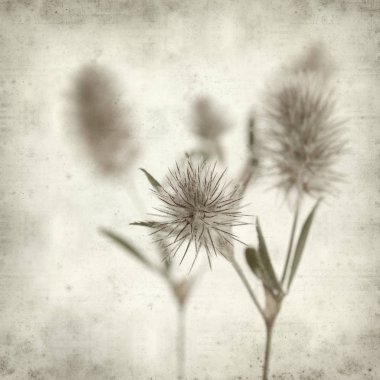 desenli eski kağıt arkaplan  