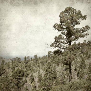 desenli eski kağıt arkaplan  