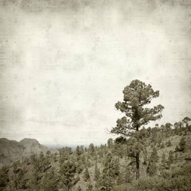 desenli eski kağıt arkaplan  