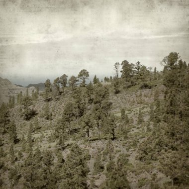 desenli eski kağıt arkaplan  