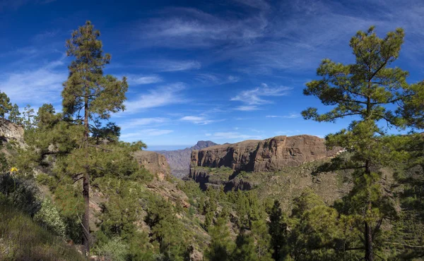 Střední Gran Canaria, přírodní rezervace Inagua — Stock fotografie