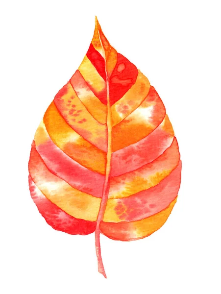Aquarell Herbstblatt — Stockfoto