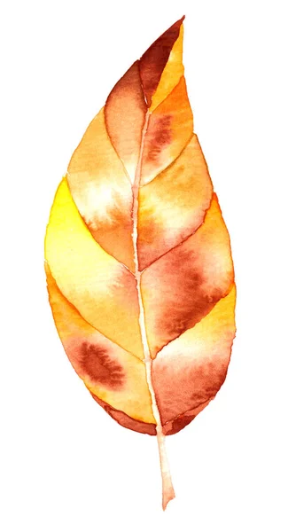 水彩秋天的叶子 — 图库照片