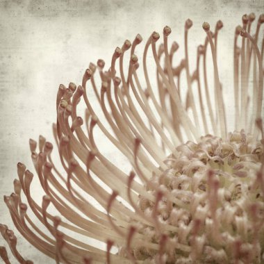 desenli eski kağıt arkaplan  