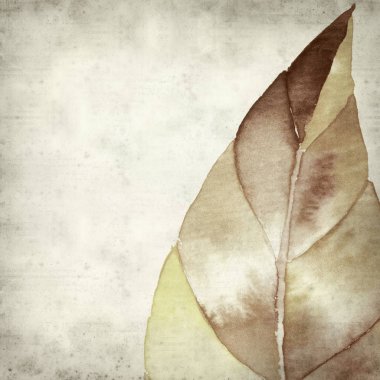 desenli eski kağıt arkaplan  