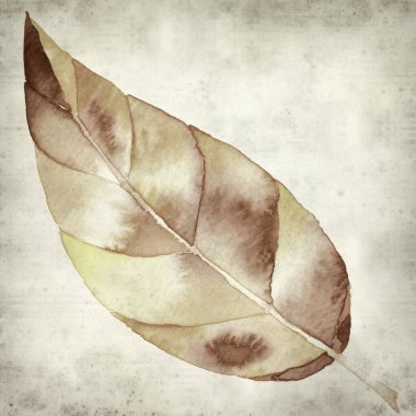 desenli eski kağıt arkaplan  