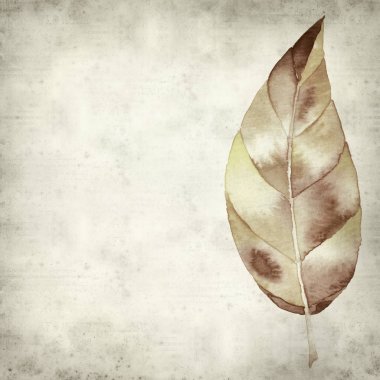 desenli eski kağıt arkaplan  