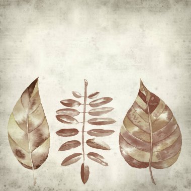 desenli eski kağıt arkaplan  