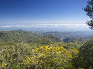 Nisan ayında Merkezi Gran Canaria