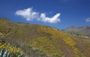 Nisan ayında Merkezi Gran Canaria