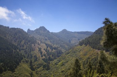 Nisan ayında Merkezi Gran Canaria