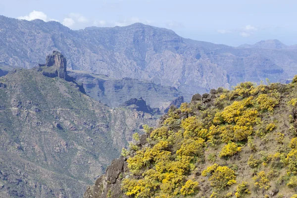 Centro de Gran Canaria en abril — Foto de Stock