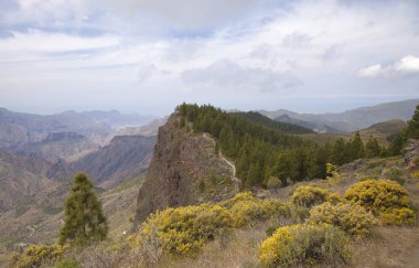 Nisan ayında Merkezi Gran Canaria