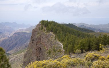 Nisan ayında Merkezi Gran Canaria