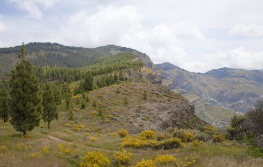 Nisan ayında Merkezi Gran Canaria