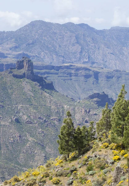 Centro de Gran Canaria i abril — Foto de Stock