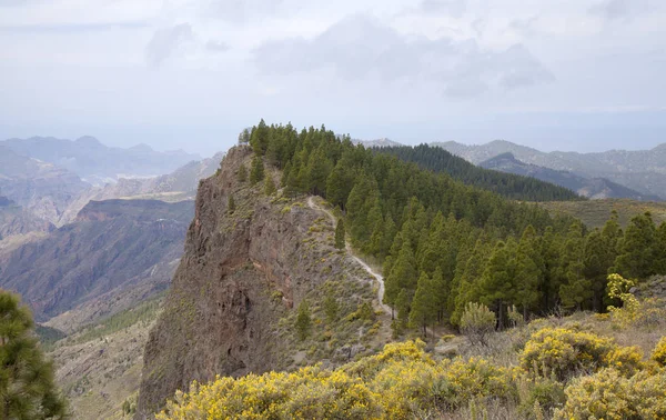 Central Gran Canaria in April — Stock Photo, Image