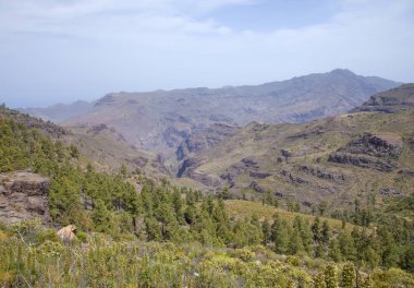 Gran Canaria batısında, Nisan
