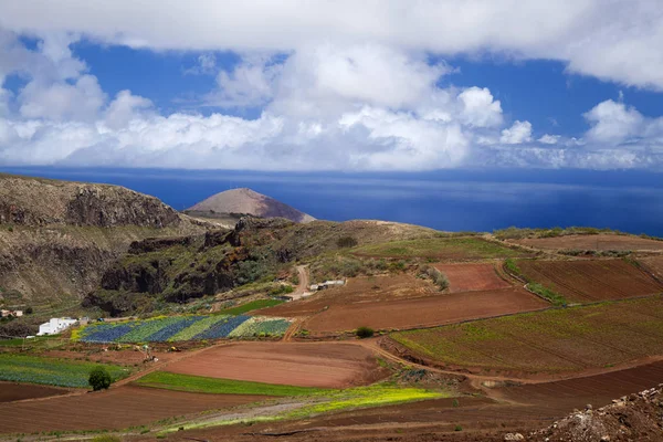 Sever Gran Canaria — Stock fotografie