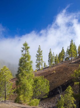 Gran Canaria, central area