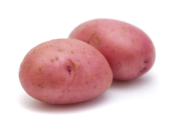 Нова картопля з червоною шкірою ізольована — стокове фото