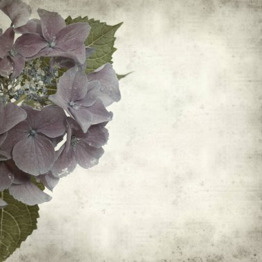 desenli eski kağıt arkaplan  