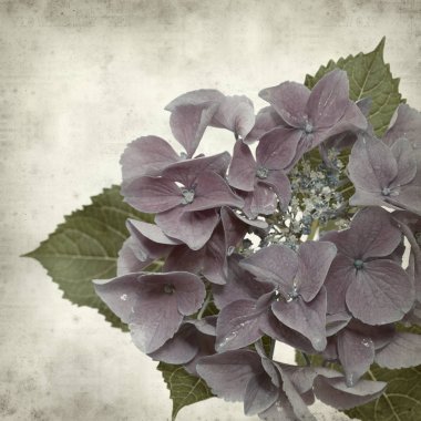 desenli eski kağıt arkaplan  