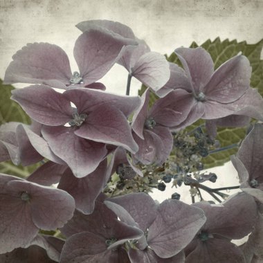 desenli eski kağıt arkaplan  