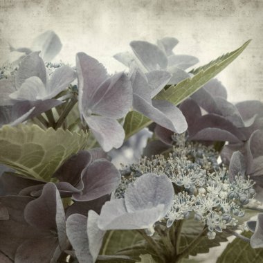 desenli eski kağıt arkaplan  