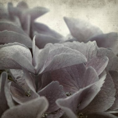 desenli eski kağıt arkaplan  